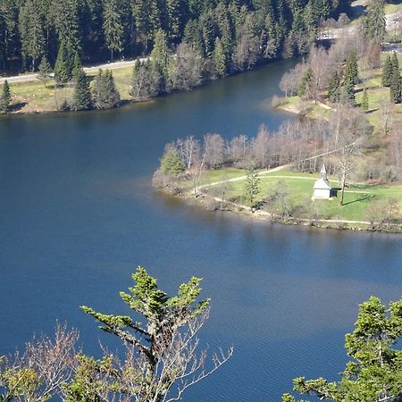 Chalet La Petite Perle Gérardmer Buitenkant foto