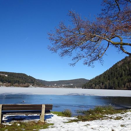 Chalet La Petite Perle Gérardmer Buitenkant foto