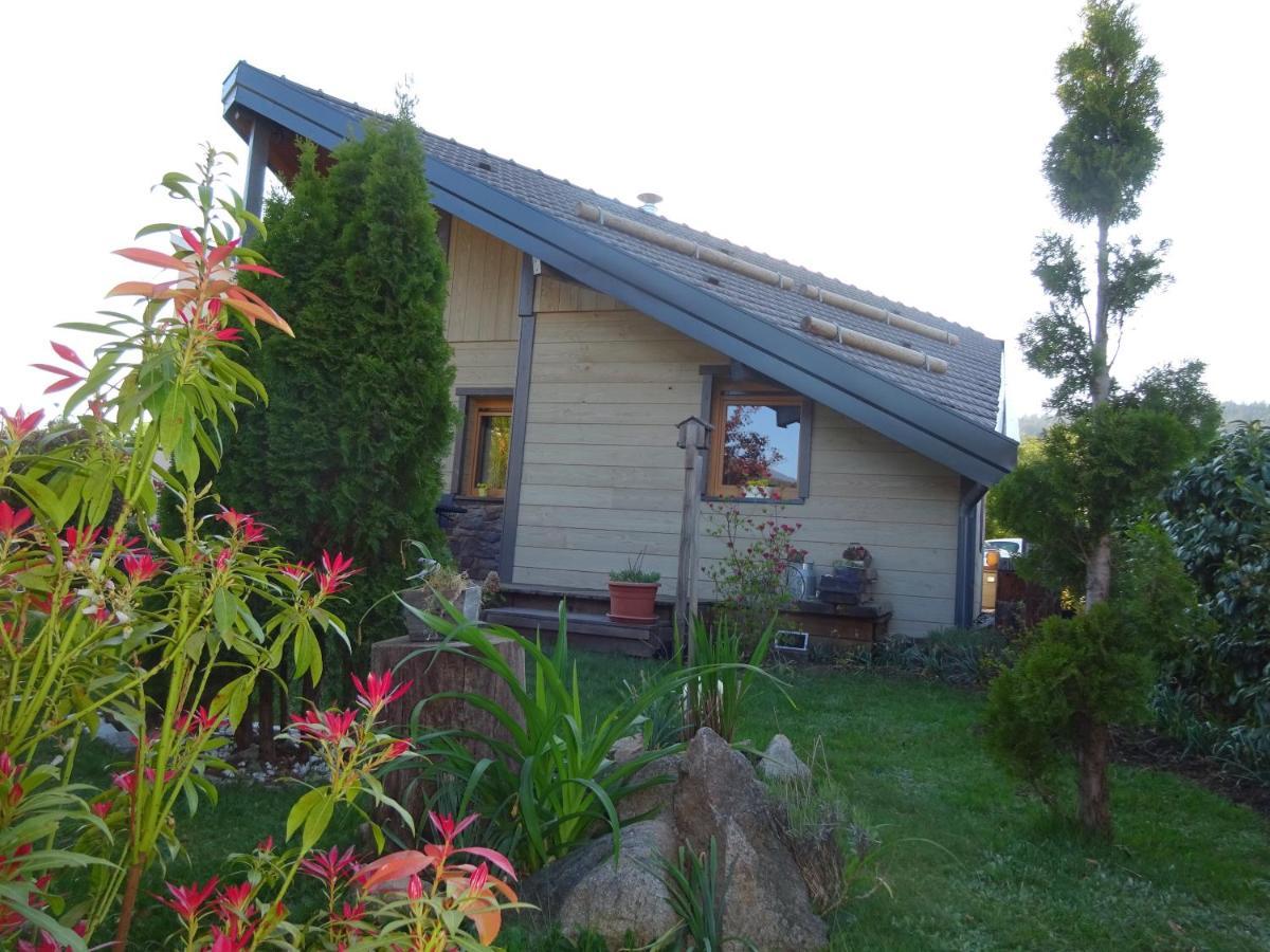 Chalet La Petite Perle Gérardmer Buitenkant foto