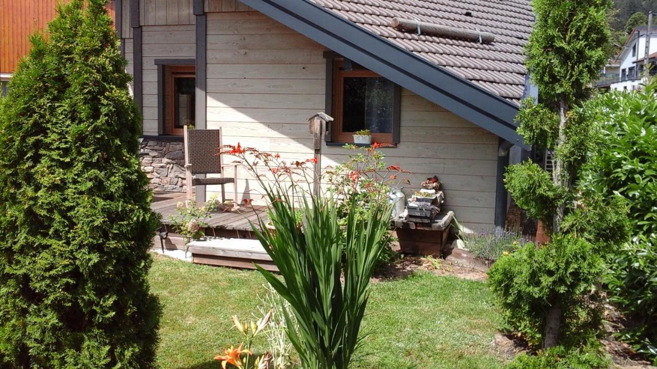 Chalet La Petite Perle Gérardmer Buitenkant foto
