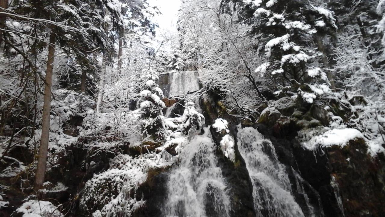 Chalet La Petite Perle Gérardmer Buitenkant foto