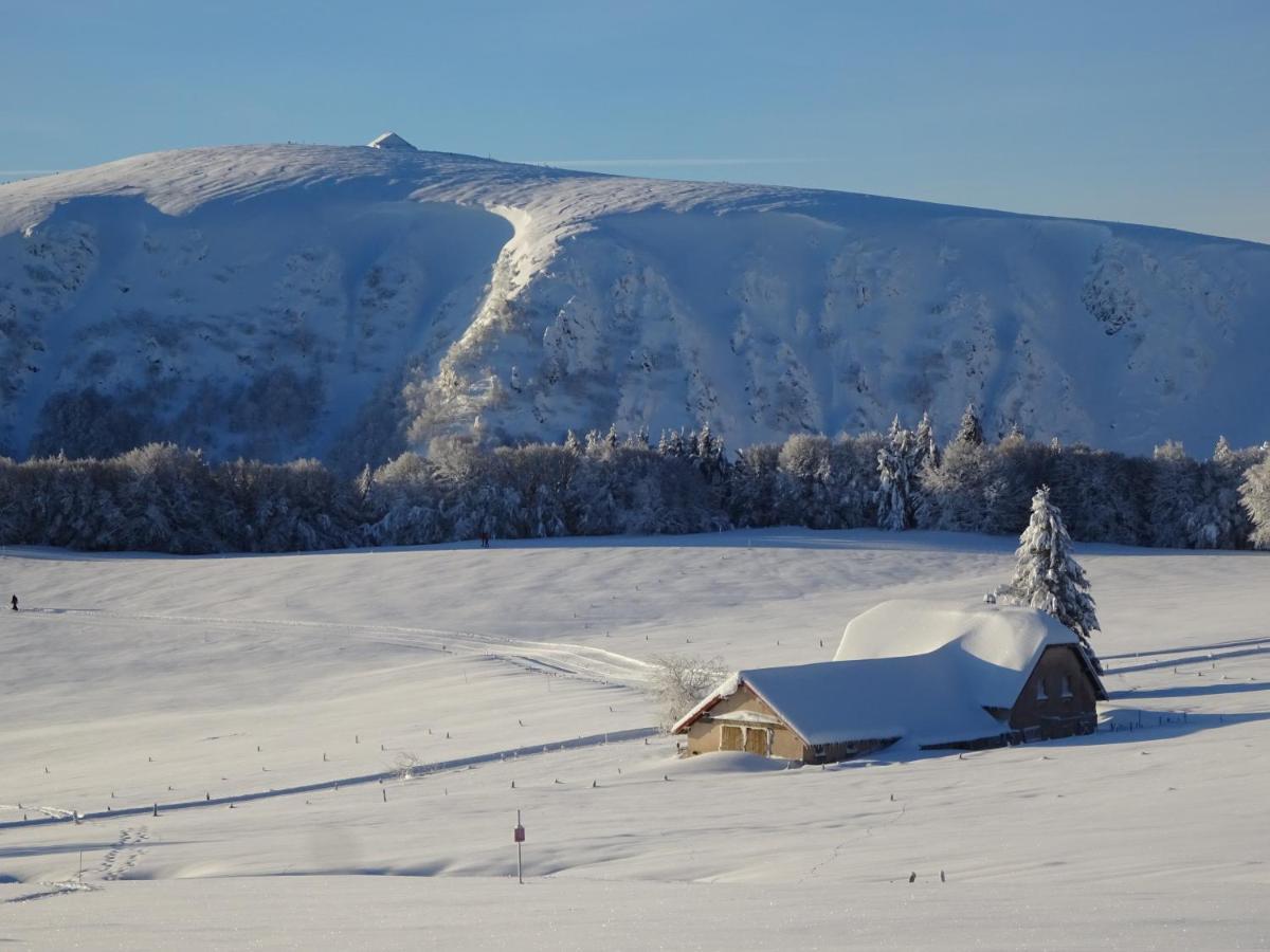 Chalet La Petite Perle Gérardmer Buitenkant foto