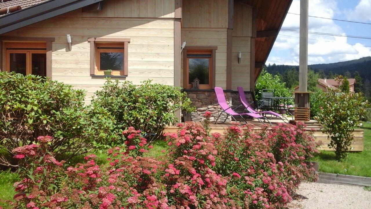 Chalet La Petite Perle Gérardmer Buitenkant foto