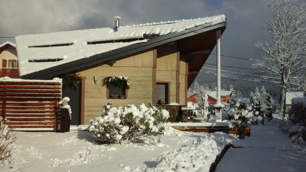 Chalet La Petite Perle Gérardmer Buitenkant foto